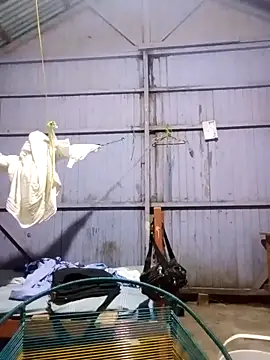 Snapshot of leyel00155 chatting on 03/12/26, 12:17 leyel00155 online show from 03/12/26, 12:17