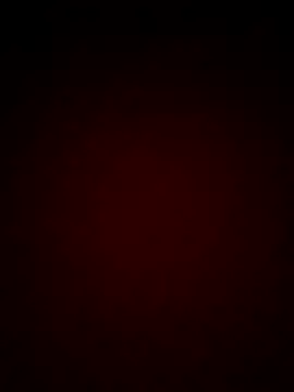 mendelicius online show from 02/25/25, 11:19