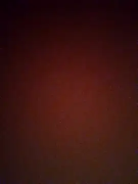 mendelicius online show from 02/25/25, 02:33