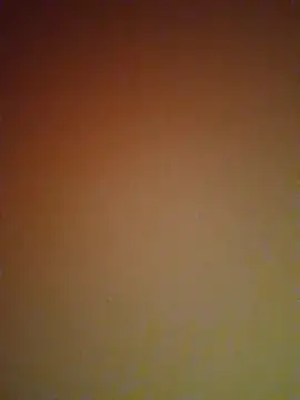 mendelicius online show from 02/27/25, 06:09