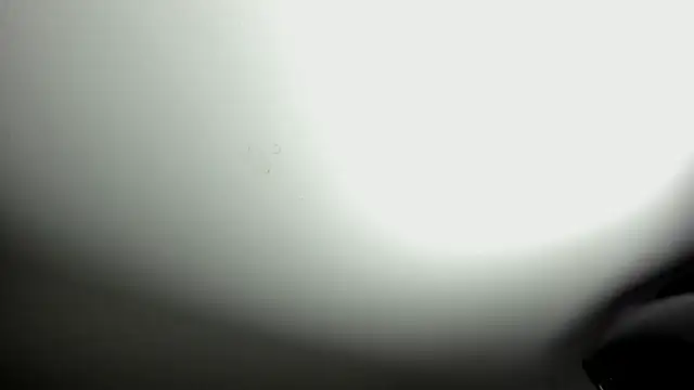 Snapshot of selene_red_ chatting on 10/08/25, 03:42 selene red  online show from 10/08/25, 03:42