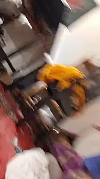 emma neko online show from 11/22/25, 06:40