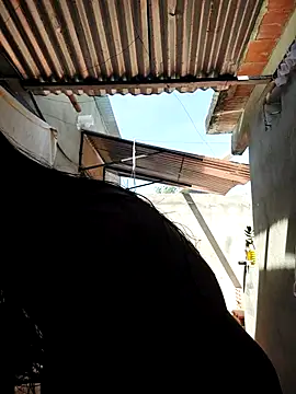 room 24funn online show from 10/09/25, 02:59