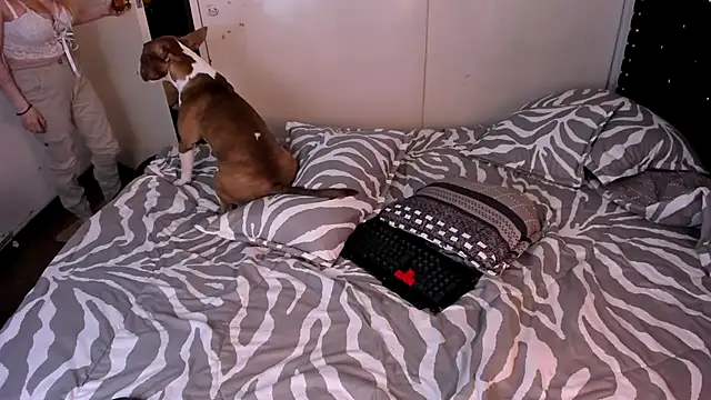 valerie luxe  online show from 01/15/26, 04:39