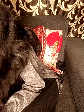 REVA DARLING online show from 01/11/25, 08:54