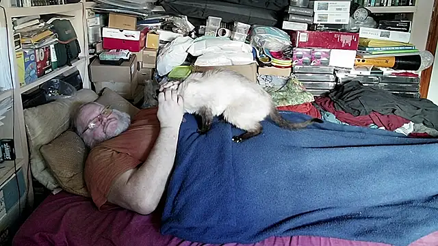 hadeszeuss2 online show from 12/12/24, 02:33