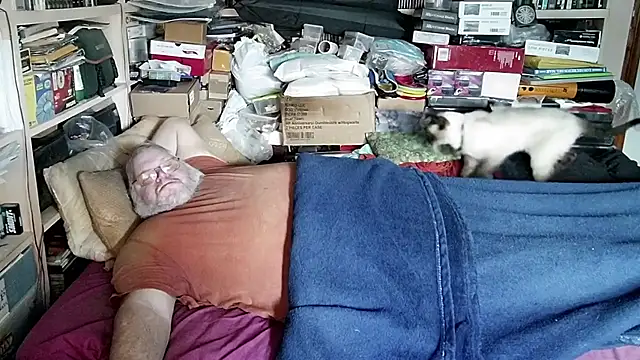 hadeszeuss2 online show from 12/13/24, 01:22