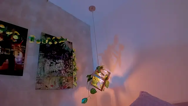 Ari Baker online show from 12/17/24, 11:27