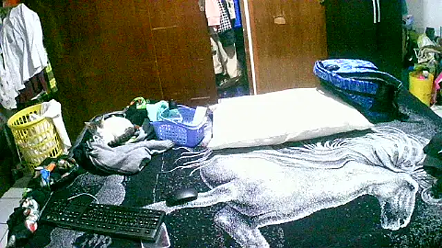 jperezofficial1 online show from 09/13/25, 09:42