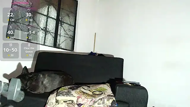 willian m777 online show from 02/06/26, 04:50