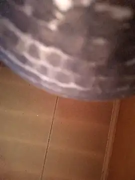 SashaahXXX online show from 02/12/26, 03:40