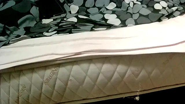 Snapshot of robertone80 chatting on 03/02/25, 02:30 robertone80 online show from 03/02/25, 02:30