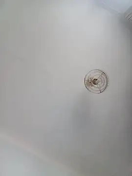 katymojadit online show from 01/20/25, 03:28