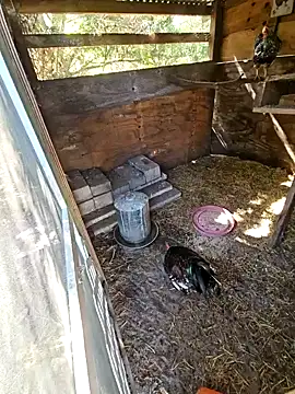 Snapshot of Mistress_Melissa chatting on 02/03/25, 04:41 Mistress Melissa online show from 02/03/25, 04:41