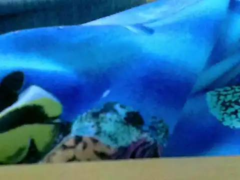 Snapshot of zhan7965 chatting on 12/30/24, 01:03 zhan7965 online show from 12/30/24, 01:03