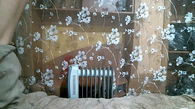 Snapshot of DennisXCaroll chatting on 02/14/25, 06:19 DennisXCaroll online show from 02/14/25, 06:19