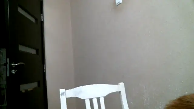 Snapshot of DennisXCaroll chatting on 02/18/25, 12:04 DennisXCaroll online show from 02/18/25, 12:04