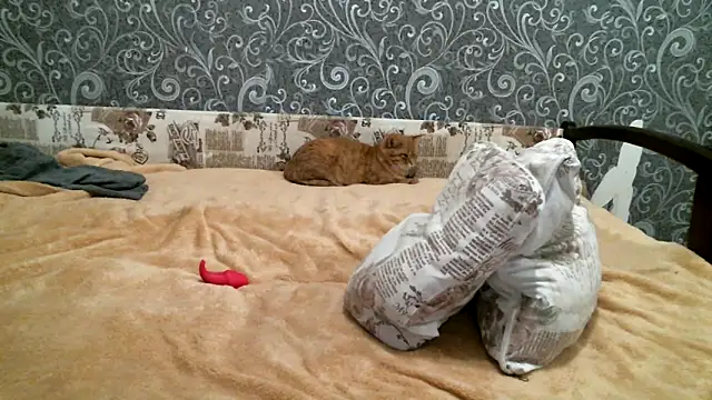 Snapshot of DennisXCaroll chatting on 02/19/25, 05:27 DennisXCaroll online show from 02/19/25, 05:27