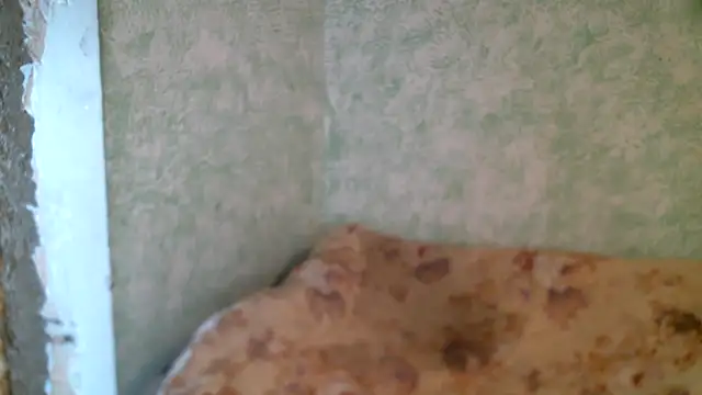 Snapshot of DennisXCaroll chatting on 04/23/26, 10:14 DennisXCaroll online show from 04/23/26, 10:14