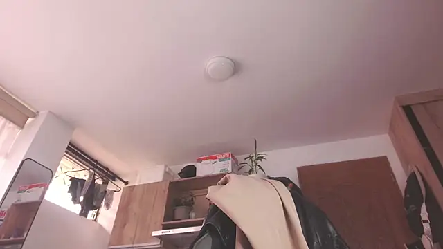 Cutie Shy  online show from 05/21/26, 01:07