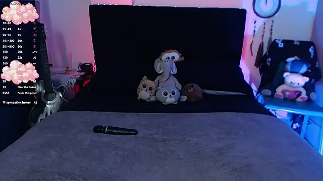 Snapshot of Theprojectsaraa chatting on 12/30/24, 12:00 Theprojectsaraa online show from 12/30/24, 12:00