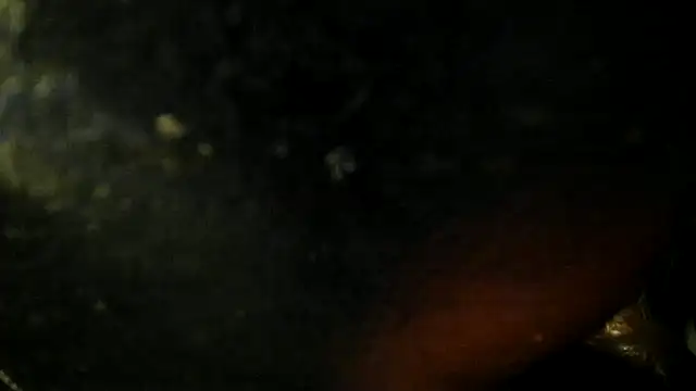 leatherz69 online show from 05/22/26, 02:40