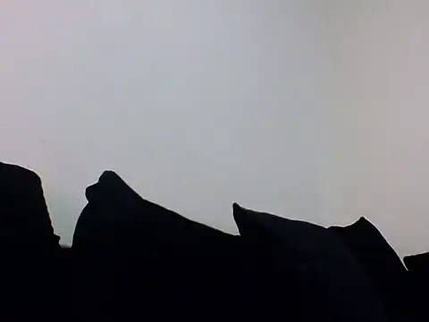 Snapshot of Cinderella_Jewels_ chatting on 02/20/25, 10:04 Cinderella Jewels online show from 02/20/25, 10:04