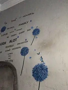 Snapshot of DiamondGoddes chatting on 01/22/25, 07:24 DiamondGoddes online show from 01/22/25, 07:24