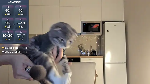 Snapshot of fairy_di chatting on 12/23/24, 12:46 fairy di online show from 12/23/24, 12:46