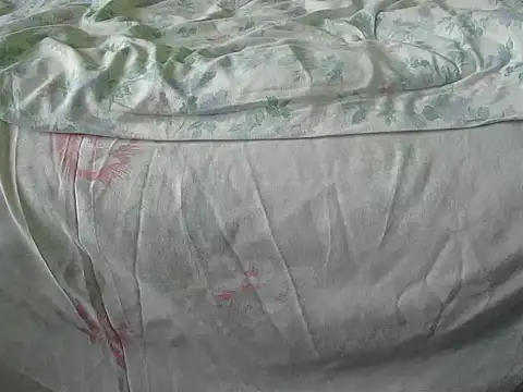 Tiger202441 online show from 12/18/24, 10:08