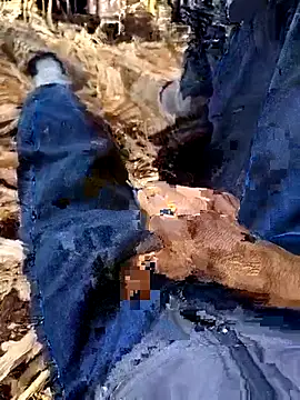 murokkk31 online show from 12/04/25, 08:34