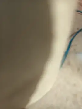 cachondoyardiente online show from 03/16/25, 02:00