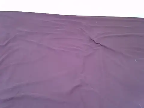 Snapshot of tasty_piee chatting on 11/07/25, 03:17 tasty piee online show from 11/07/25, 03:17