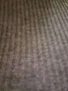 lamorbosa37 online show from 02/10/26, 08:13