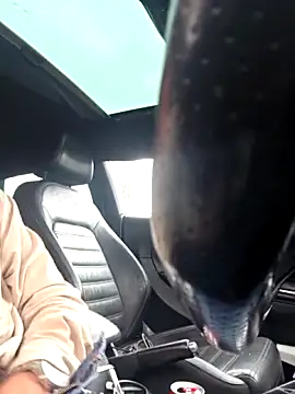 Snapshot of TheSouthernKing chatting on 03/06/26, 02:13 TheSouthernKing online show from 03/06/26, 02:13