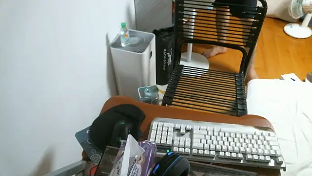 Stellan 0412 online show from 02/13/26, 05:31