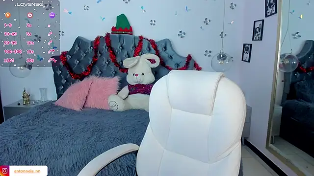 Snapshot of _Antonnela_ chatting on 12/21/24, 12:27  Antonnela  online show from 12/21/24, 12:27