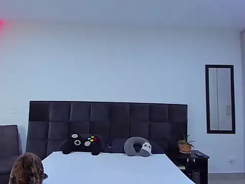 Snapshot of Alexander_Martines chatting on 11/27/25, 09:50 Alexander Martines online show from 11/27/25, 09:50