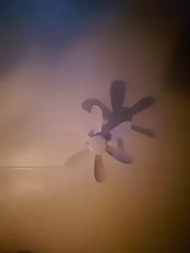 Dorset8360 online show from 11/18/25, 02:17