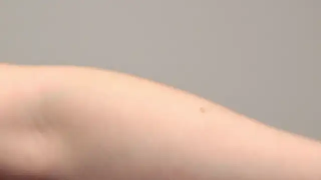 Snapshot of AliceMunro chatting on 01/25/25, 01:32 AliceMunro online show from 01/25/25, 01:32