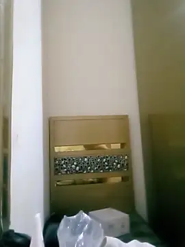 Snapshot of Naariman chatting on 12/26/24, 09:55 Naariman online show from 12/26/24, 09:55