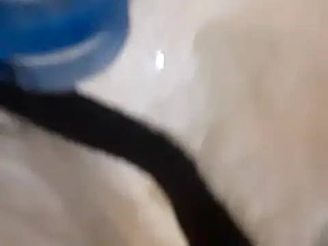 Snapshot of pedrodavid_ chatting on 03/14/25, 12:10 pedrodavid online show from 03/14/25, 12:10