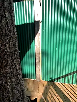 Snapshot of twist699 chatting on 11/04/25, 06:07 twist699 online show from 11/04/25, 06:07