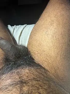 Snapshot of carlossdfr chatting on 12/02/24, 11:29 carlossdfr online show from 12/02/24, 11:29