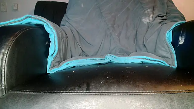 Snapshot of Gigadickman chatting on 12/13/24, 02:54 Gigadickman online show from 12/13/24, 02:54