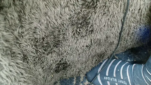 Snapshot of Gigadickman chatting on 12/13/24, 09:02 Gigadickman online show from 12/13/24, 09:02