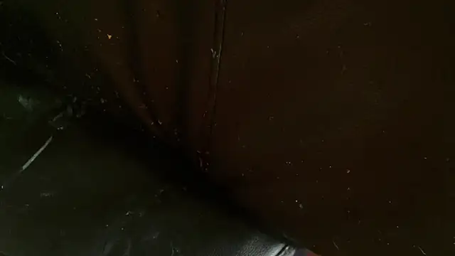 Snapshot of Gigadickman chatting on 01/02/25, 10:11 Gigadickman online show from 01/02/25, 10:11