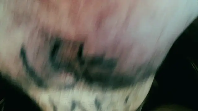 Snapshot of Gigadickman chatting on 01/05/25, 11:44 Gigadickman online show from 01/05/25, 11:44