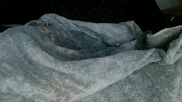 Snapshot of Gigadickman chatting on 03/02/25, 05:12 Gigadickman online show from 03/02/25, 05:12