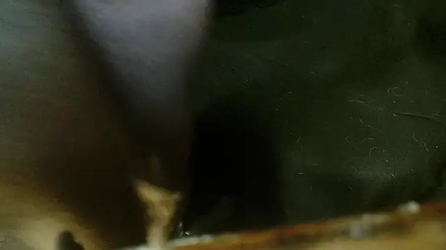 Snapshot of Gigadickman chatting on 10/04/25, 02:31 Gigadickman online show from 10/04/25, 02:31